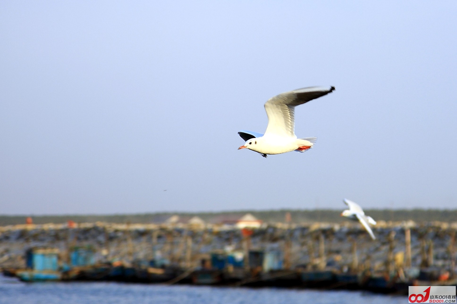 DPP_0043.JPG