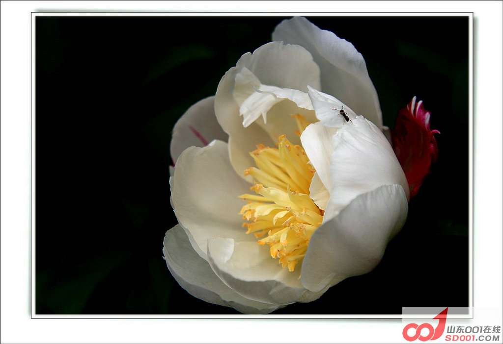 IMG_0034_.JPG