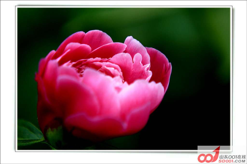 IMG_0041_.JPG