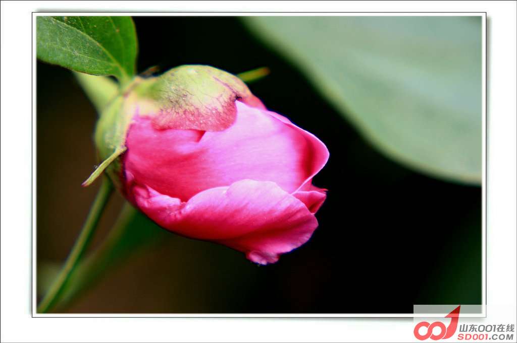 IMG_0051_.JPG