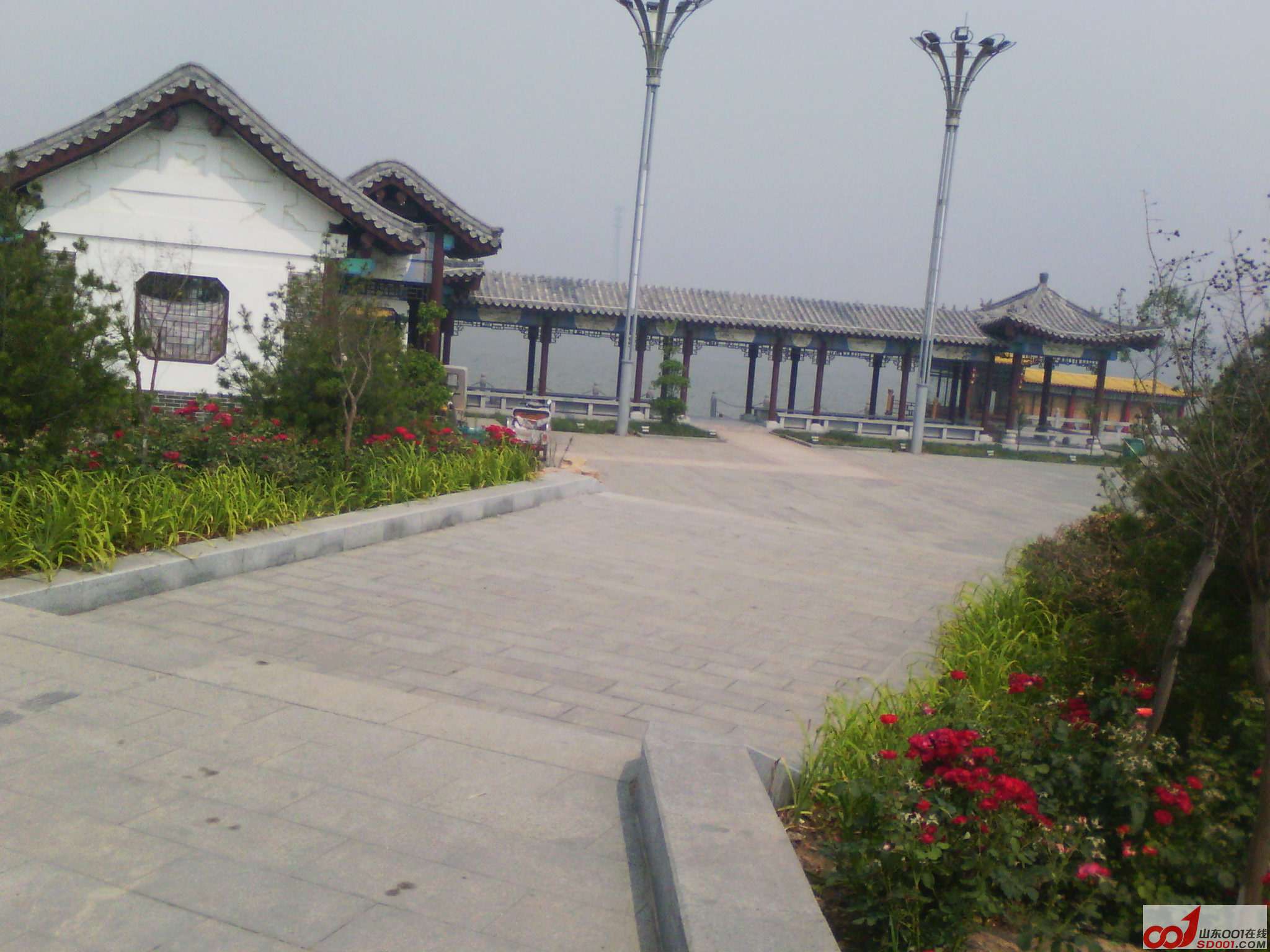 IMG_20120612_094459.jpg