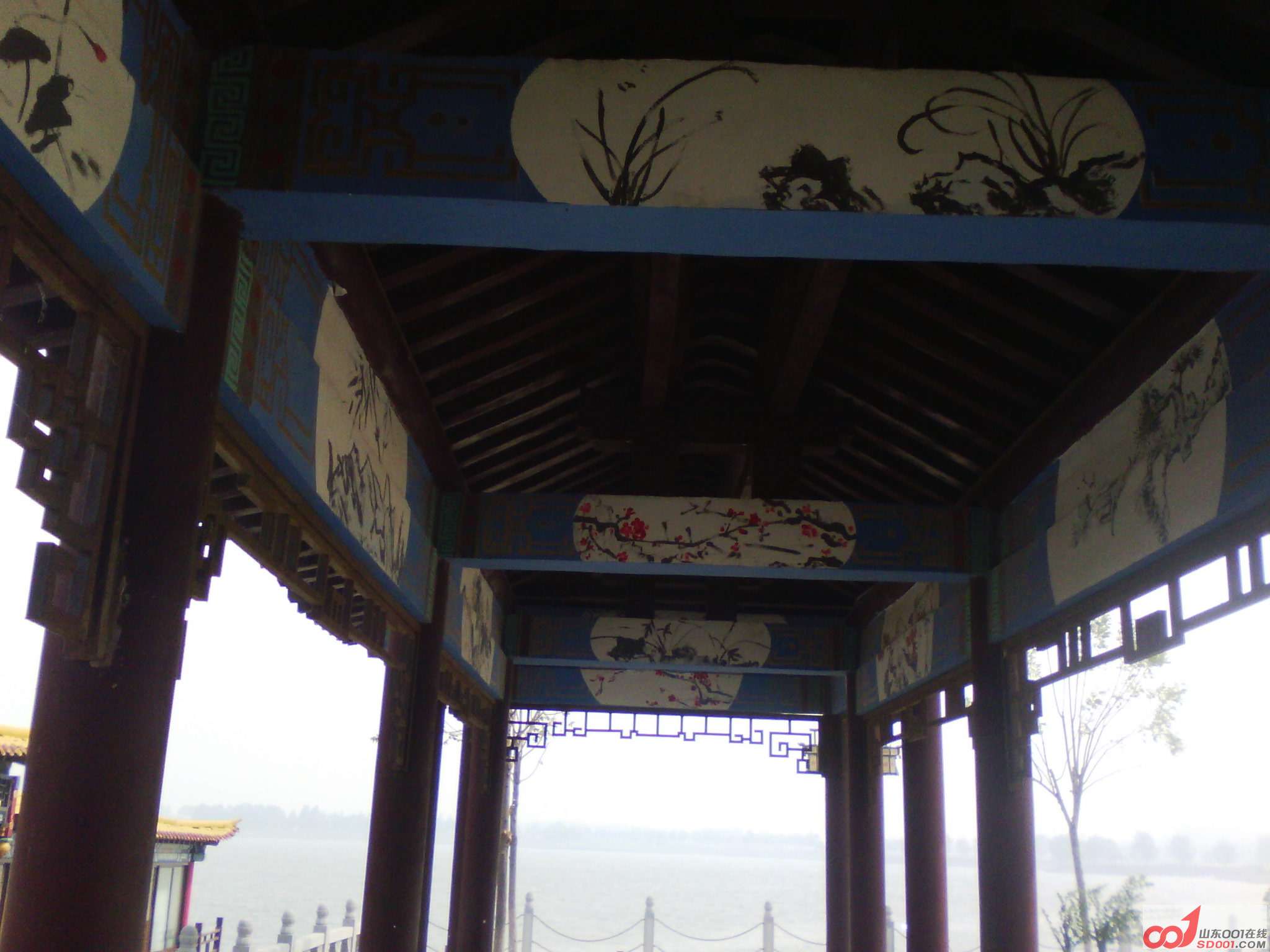 IMG_20120612_094742.jpg