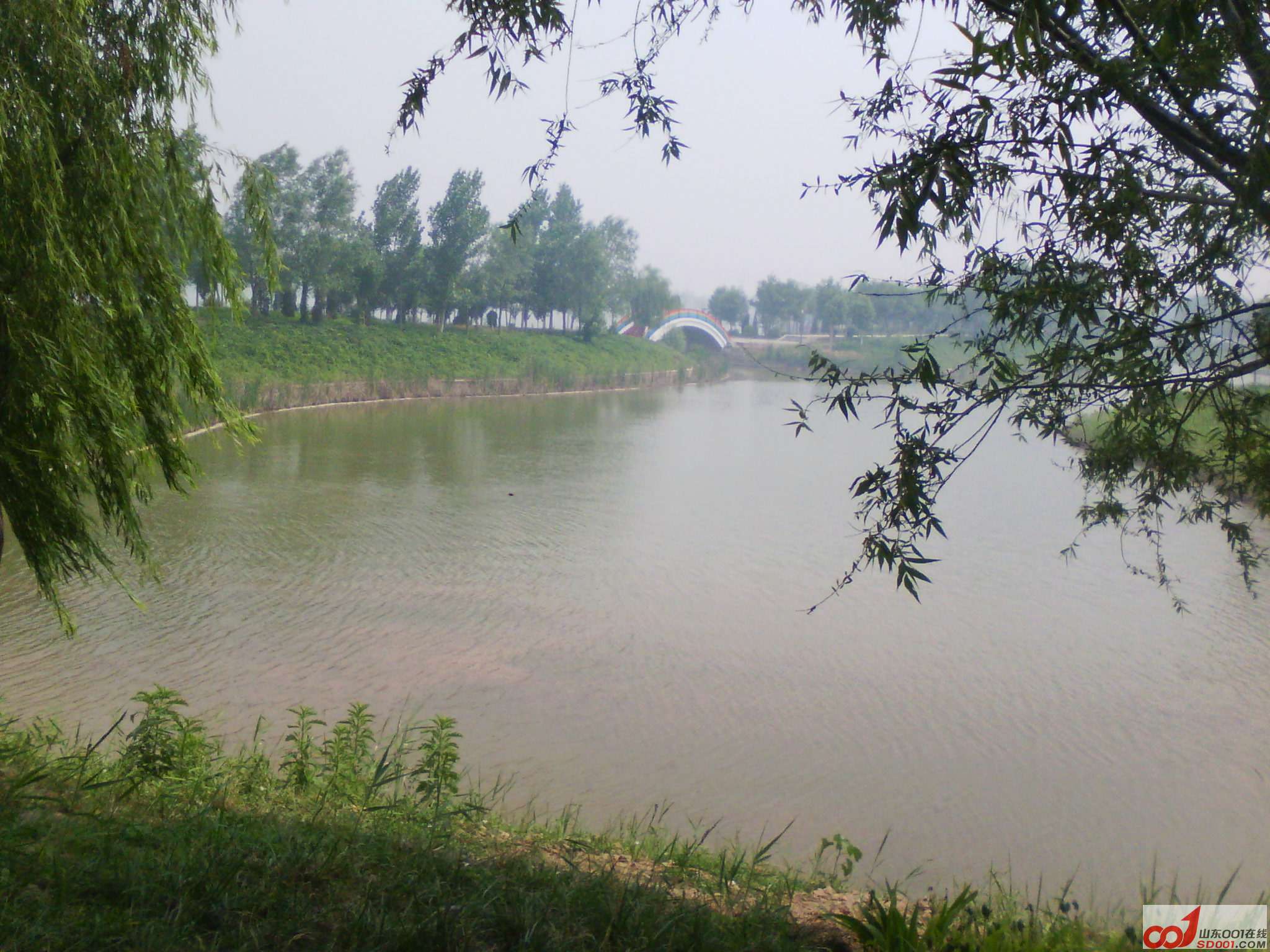 IMG_20120612_095133.jpg