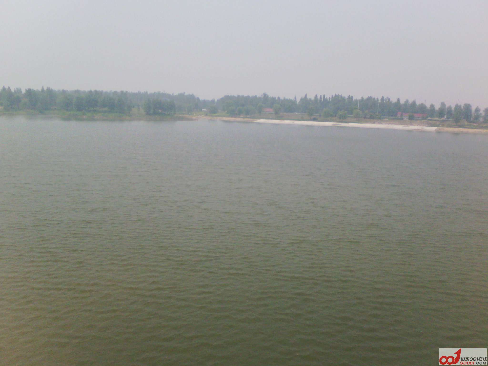 IMG_20120612_100733.jpg