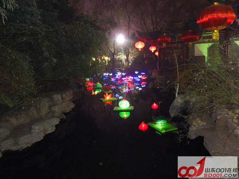 DSCN0798_.jpg