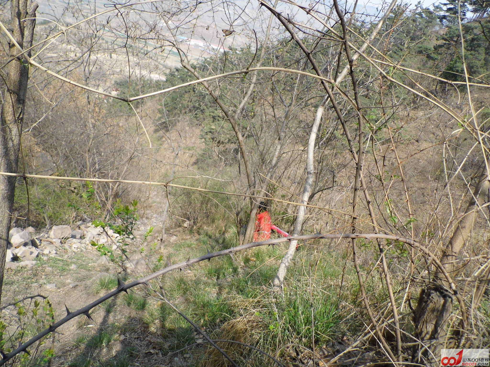 IMG_0370.JPG