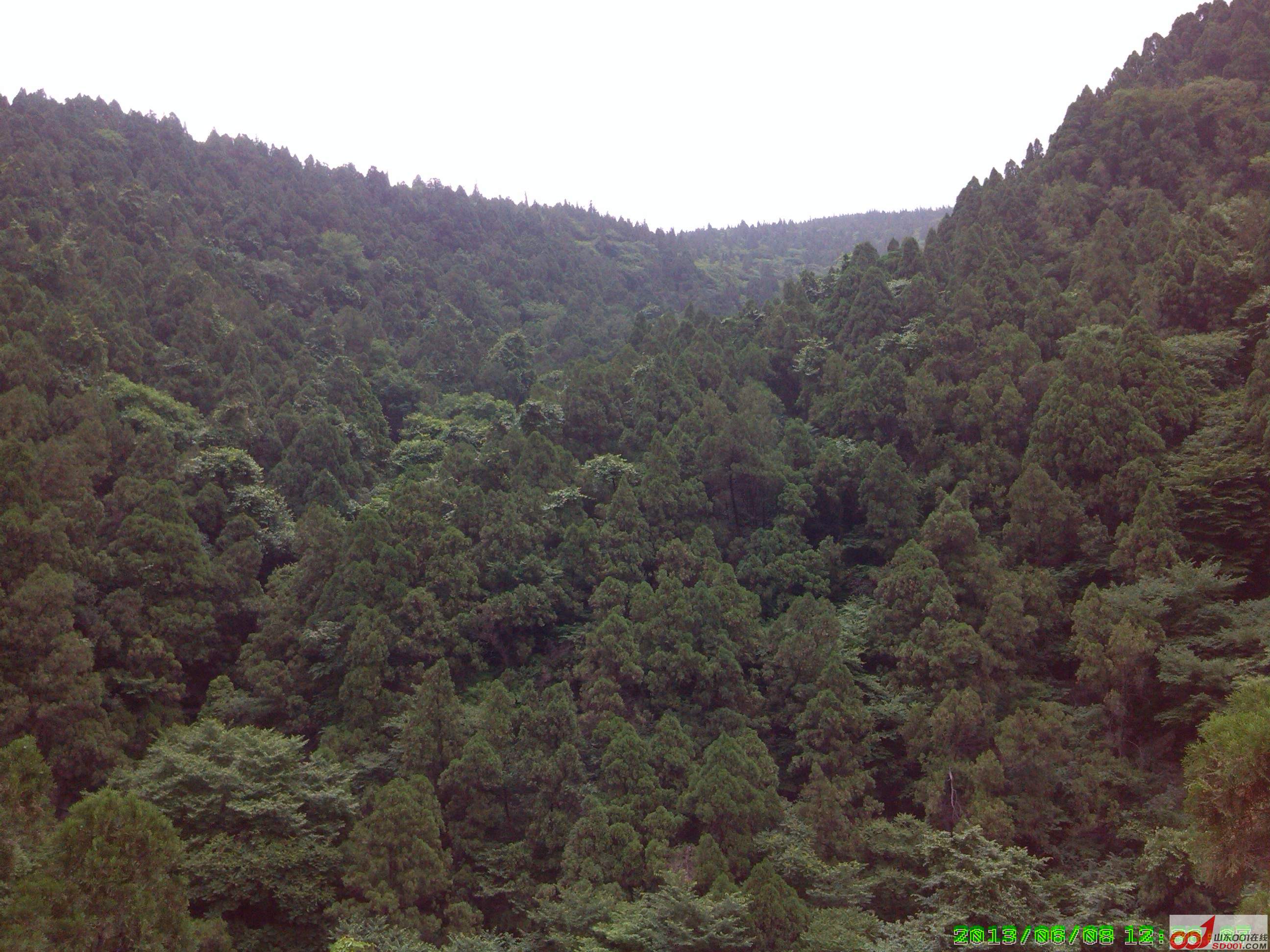 IMG_20130608_123609.jpg