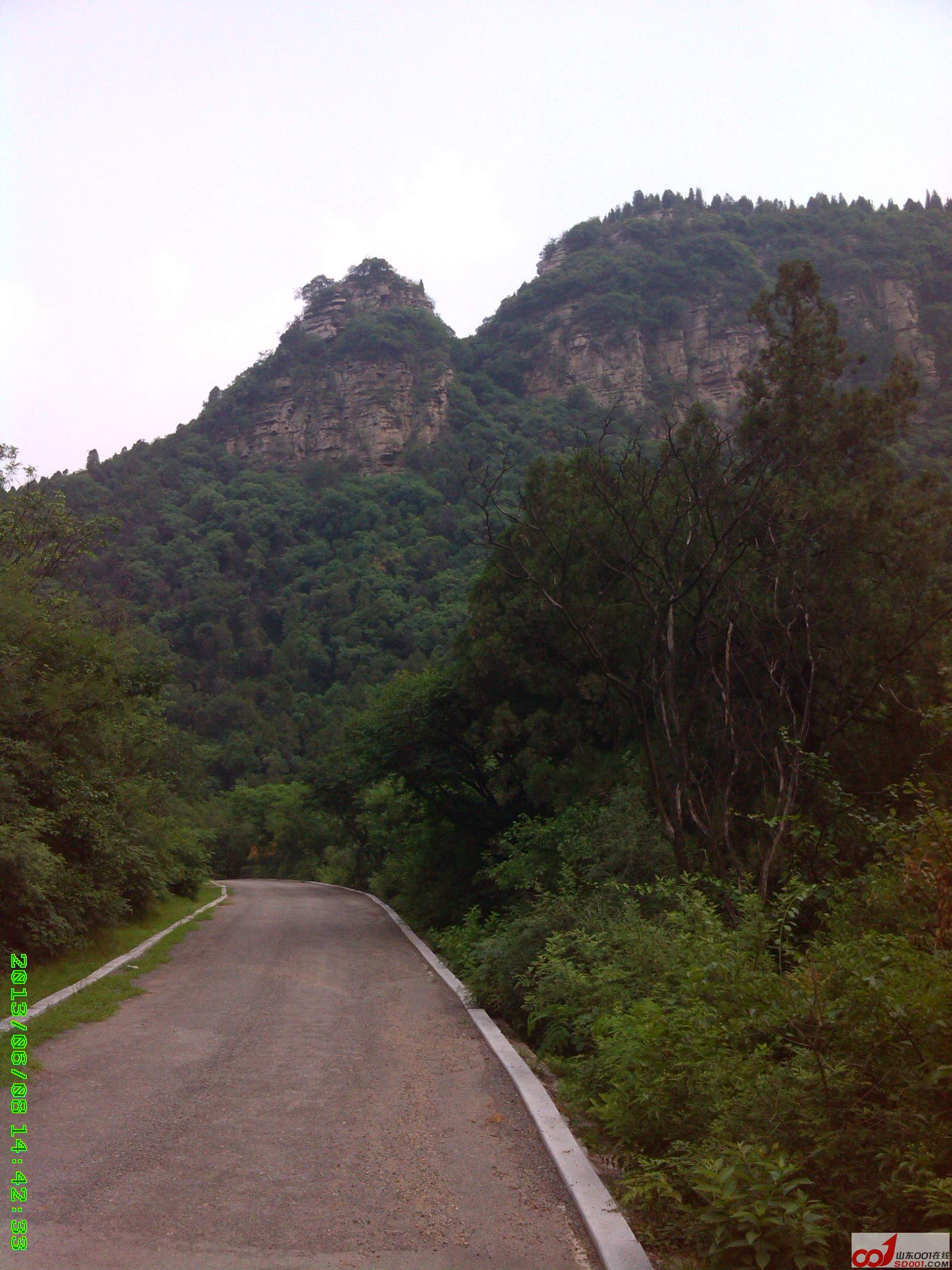 IMG_20130608_144235.jpg