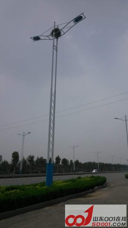 IMG_20130716_124428.jpg