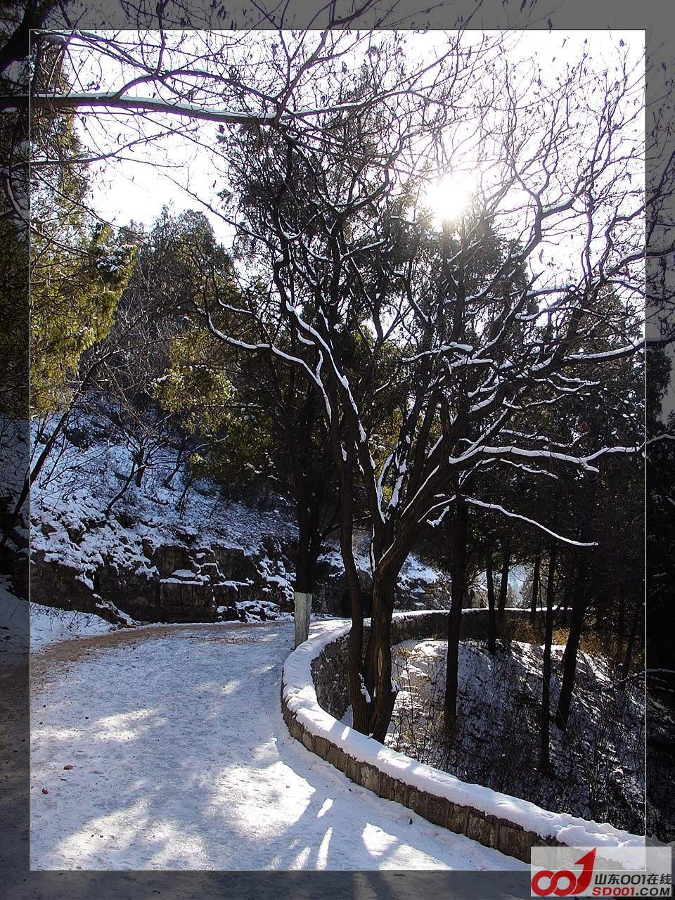 DSC01100.jpg