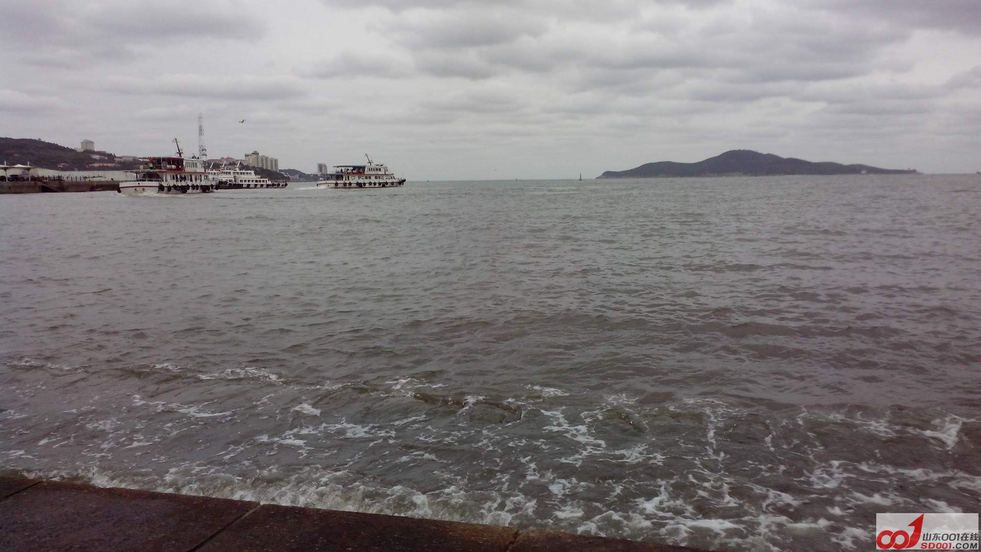 IMG_20130924_085201.jpg