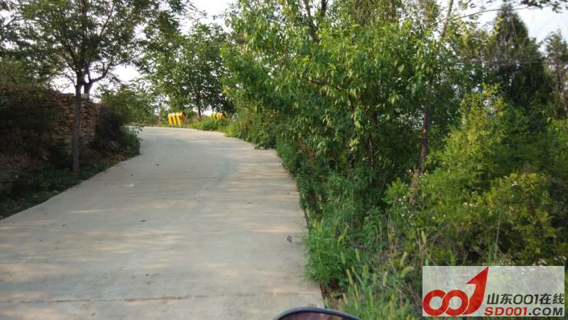 IMG_20140628_171346.jpg