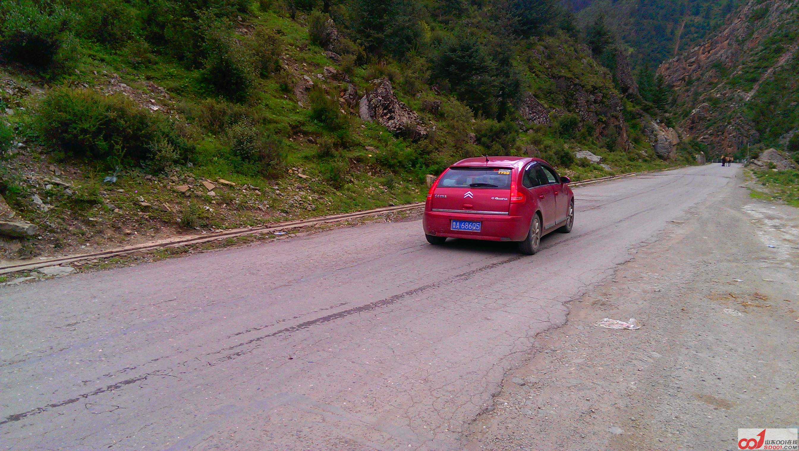 IMAG0888.jpg