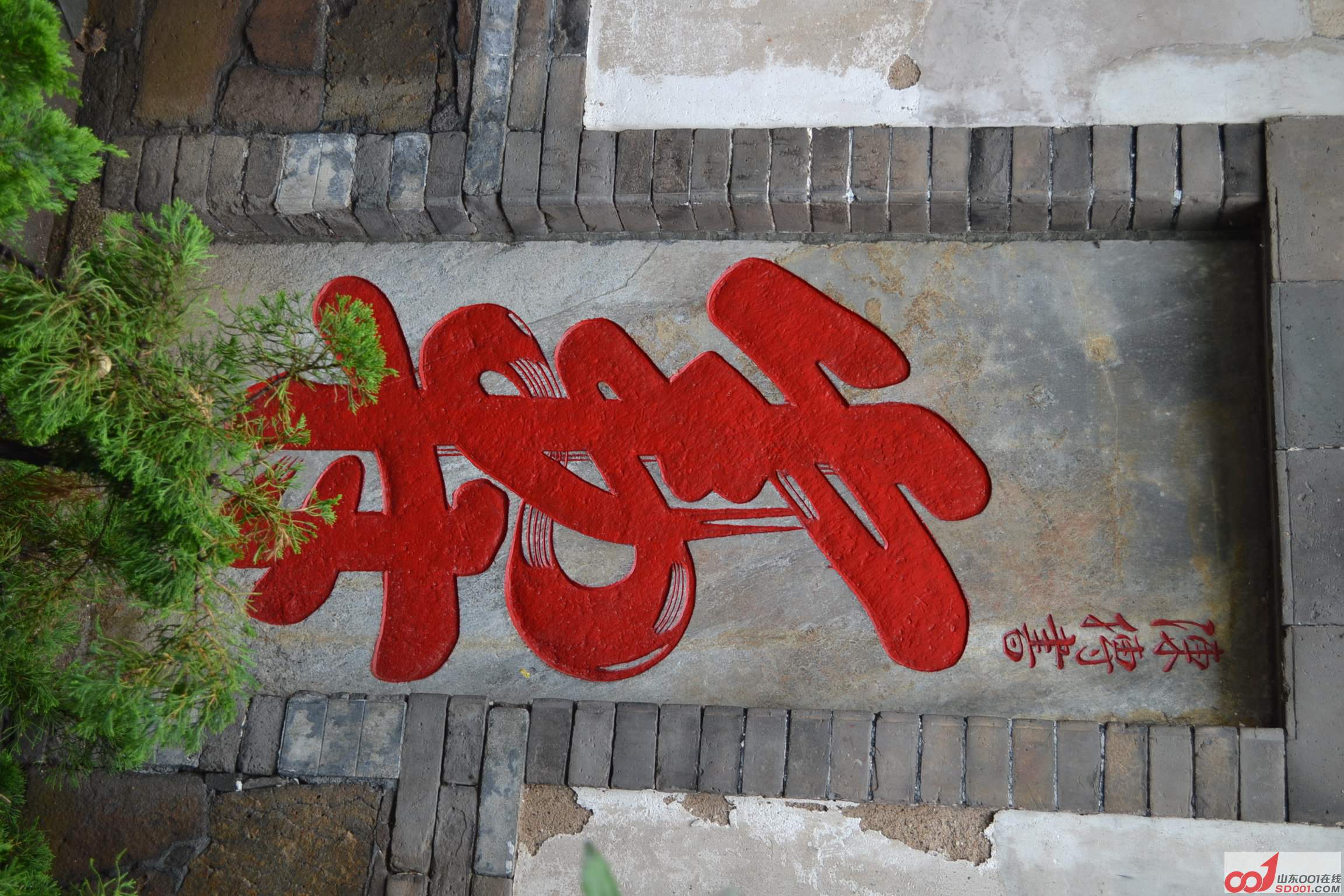 DSC_0137.JPG