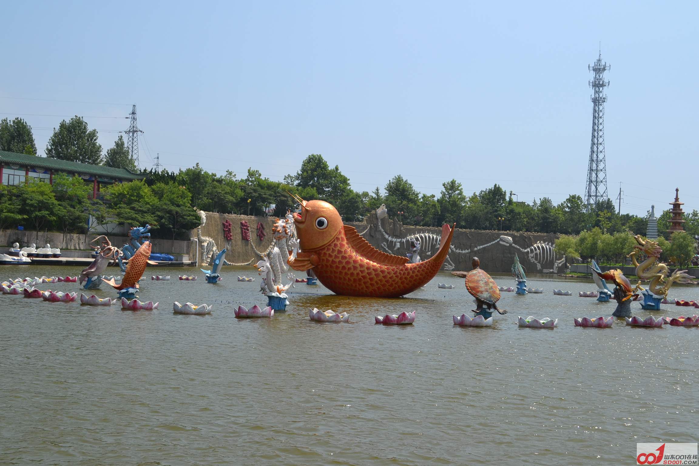 DSC_0602.JPG