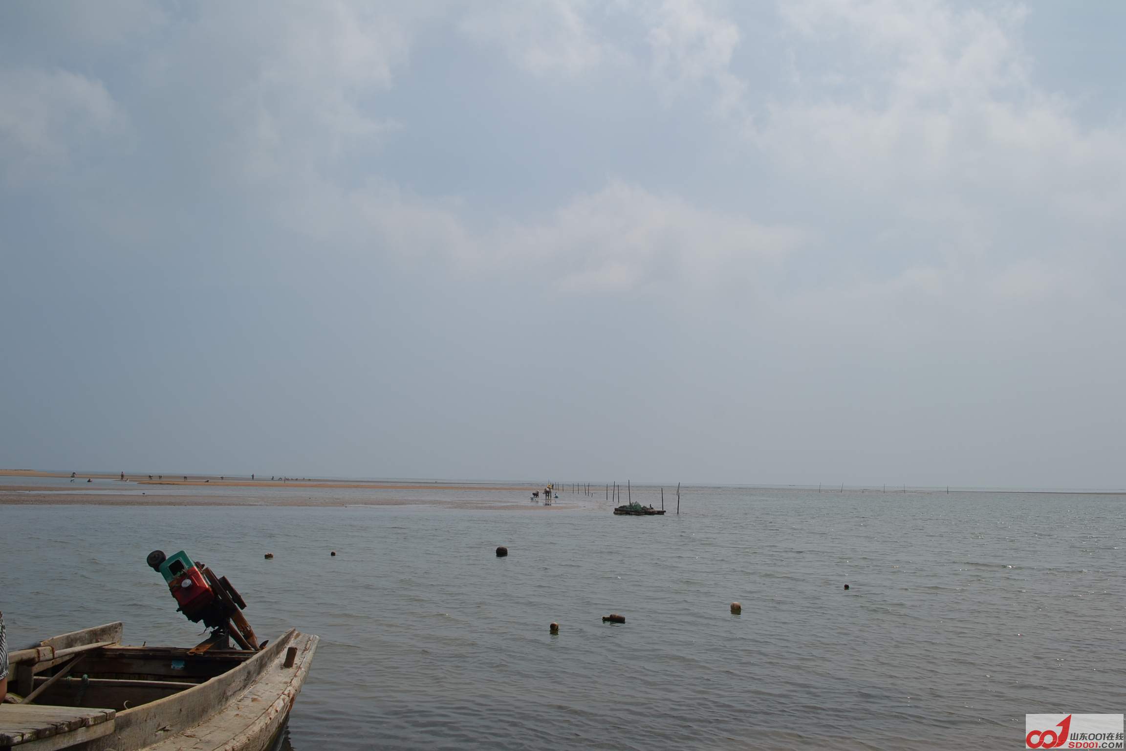 DSC_0725.JPG