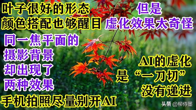ƬܡϹġѧ5ռɣӰƷ-18.jpg