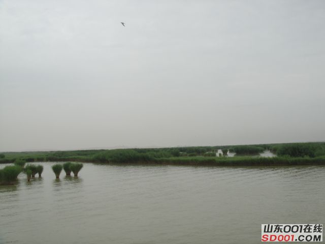 DSC02921.JPG