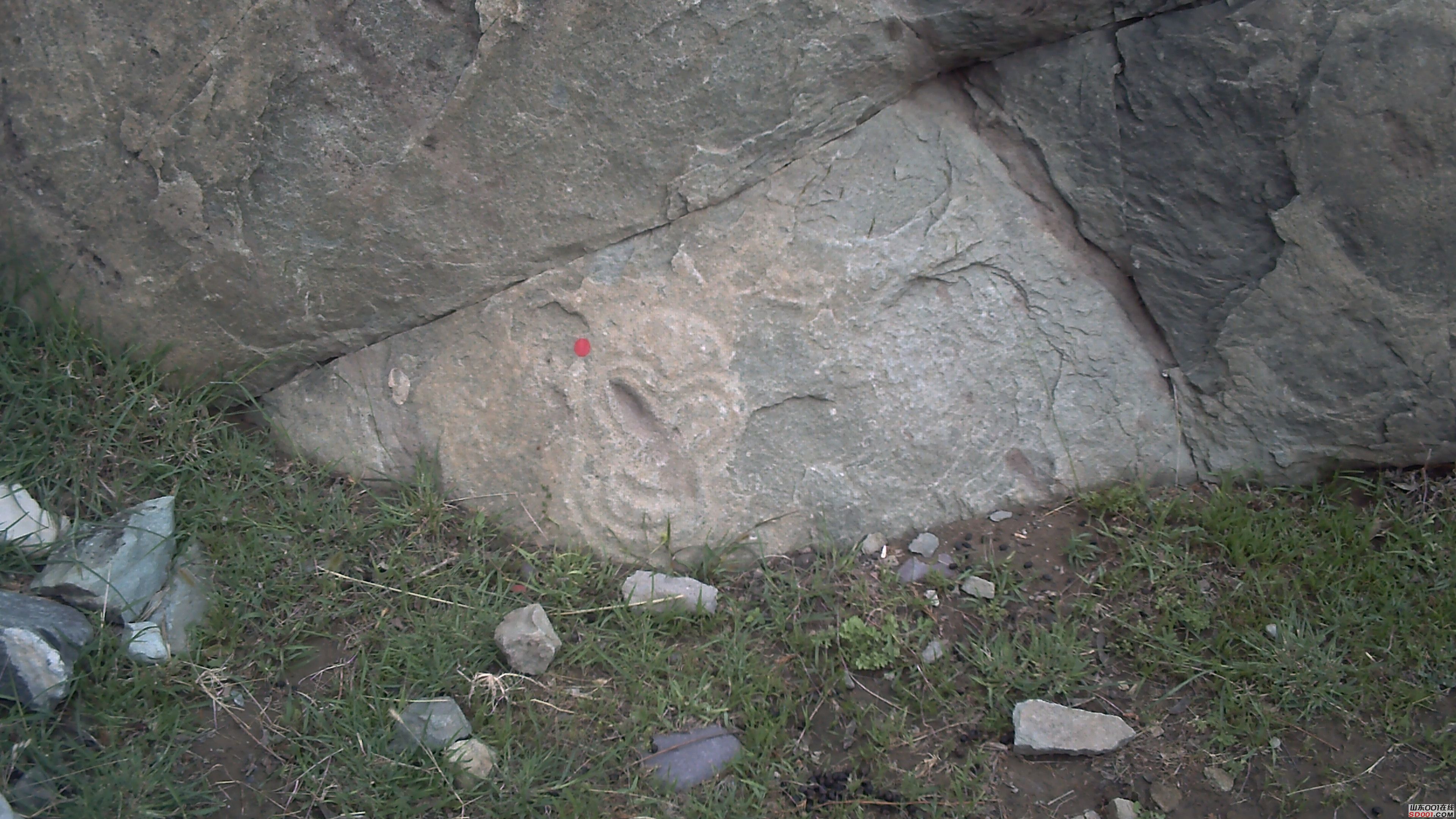 PICT0398.JPG